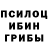 Галлюциногенные грибы GOLDEN TEACHER Gabriella Mirovska