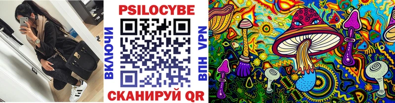 Псилоцибиновые грибы мухоморы  продажа наркотиков  Бакал 